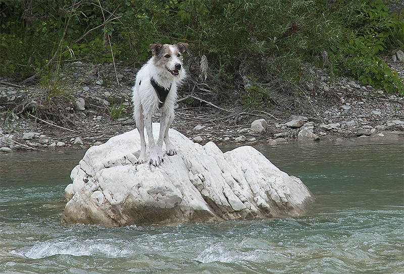 Provence 2014 +20140604_0896 als Smartobjekt-1 Kopie.jpg - Von hier aus wagte  unser Held dann den Sprung zurück ins Leben 